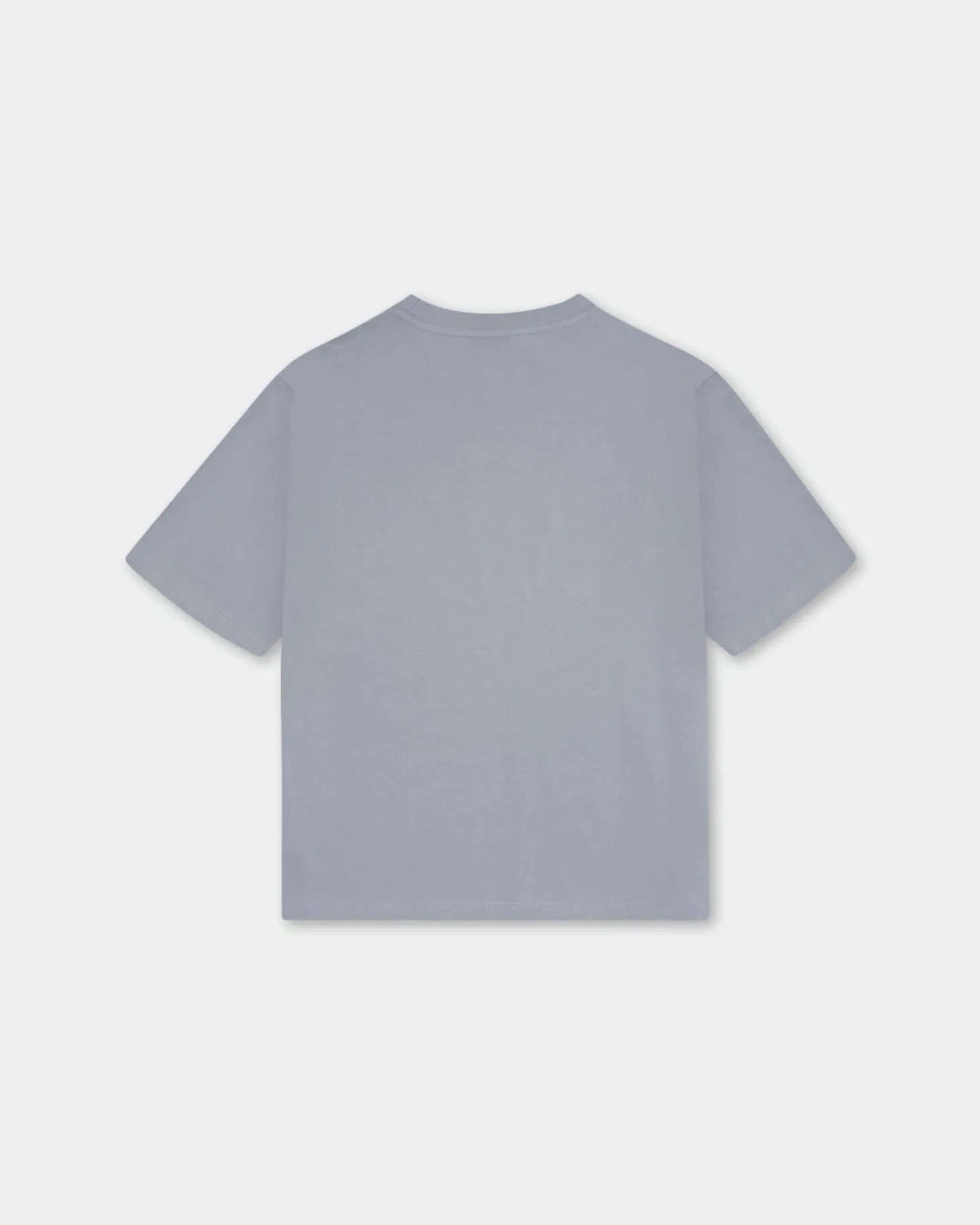 Camo Logo Box Fit, Men - Steel Grey